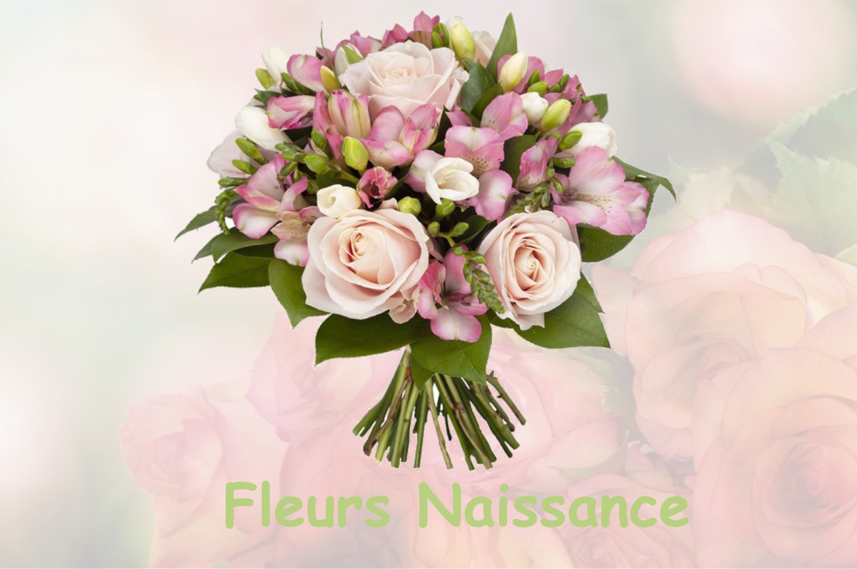 fleurs naissance MOTTIER